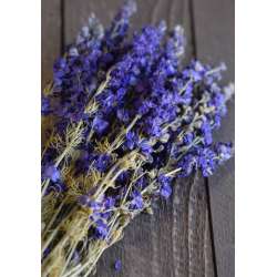 Small Dried Lavender Bouquet with Larkspur or Billy Balls