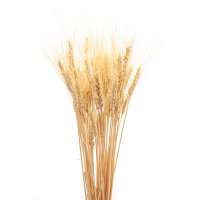 Decorative Wheat Bundles