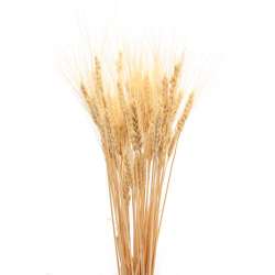 Decorative Wheat Bundles