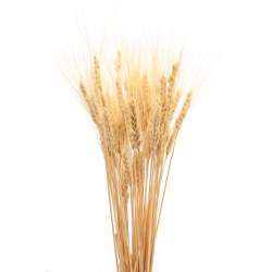 Decorative Wheat Bundles