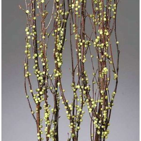 Berry Birch Branches - Green