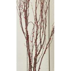 Berry Birch Branches - Red