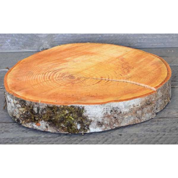 Red Alder Wood Slabs (Birch Slices) - Large Slices