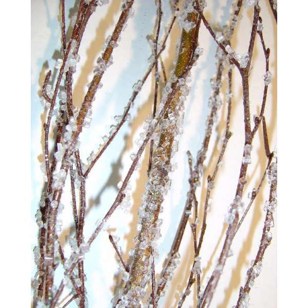 Ice Crystal Birch Branches