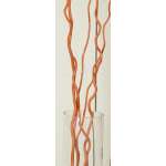 Corkscrew Willow - Color Cases