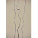Corkscrew Willow - Color Cases