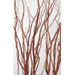 Dark Curly Willow (Weddings, Events, Centerpieces)