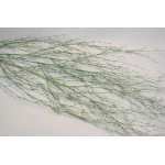 Dried Deco Branch - Green Glittered 3-4ft