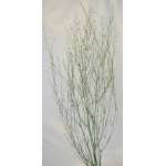 Dried Deco Branch - Green Glittered 3-4ft
