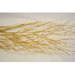 Dried Deco Branch - Gold 3-4ft