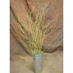 Dried Deco Branch - Gold 3-4ft