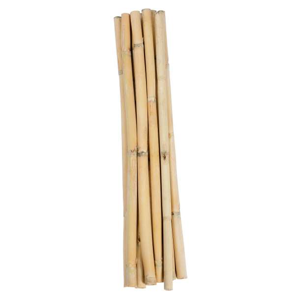 Short Dried Bamboo Sticks - Shoots