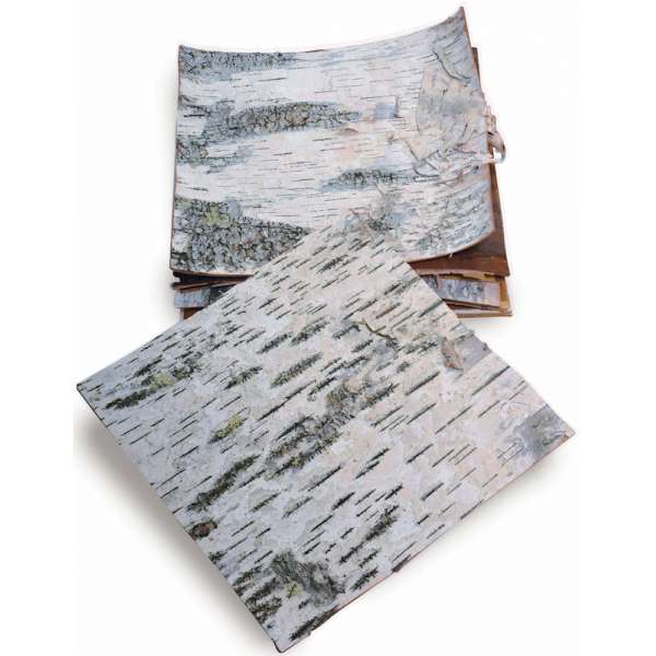 Dried Birch Bark Sheets - Cured & Natural