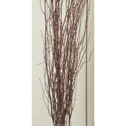 Decorative Birch Branches