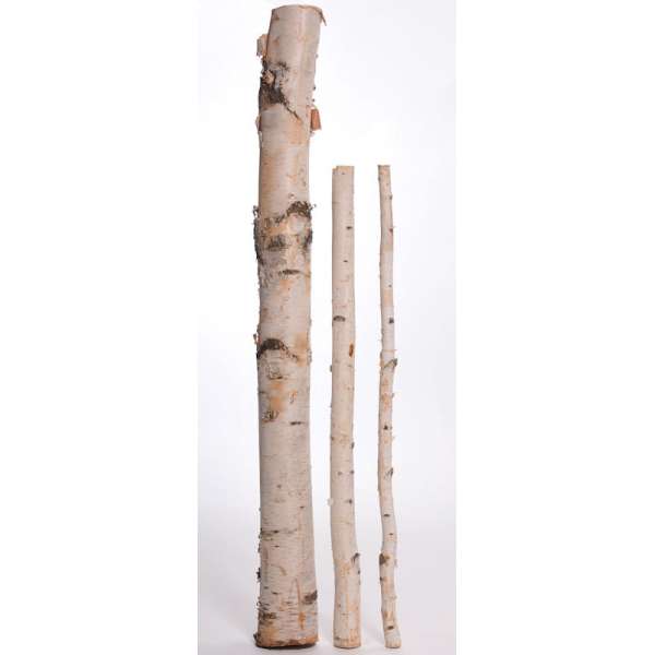 Long Decorative White Birch Poles - 8 ft long