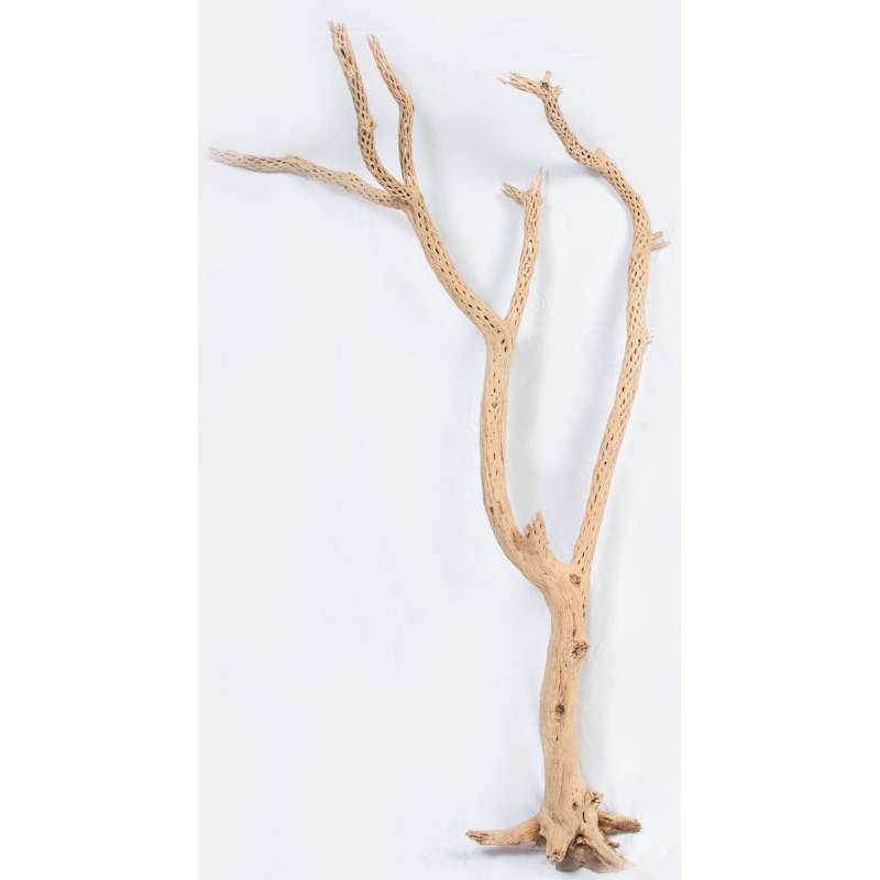 Decorative Birch Branches For Sale