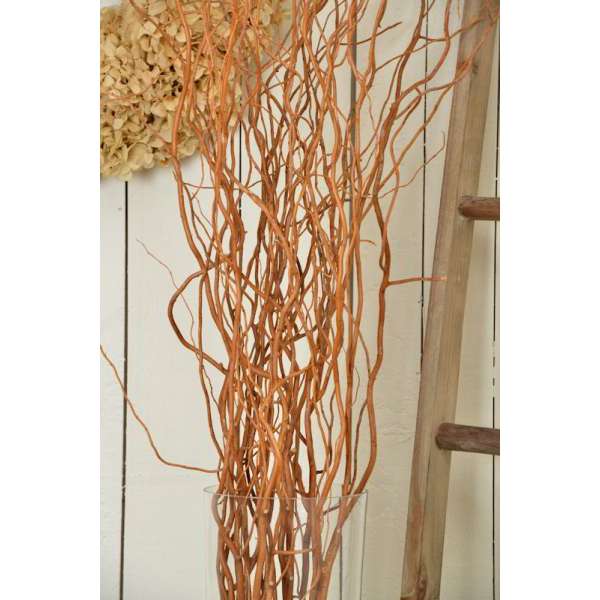 Curly Willow Branches for Arrangements (Long Stem)