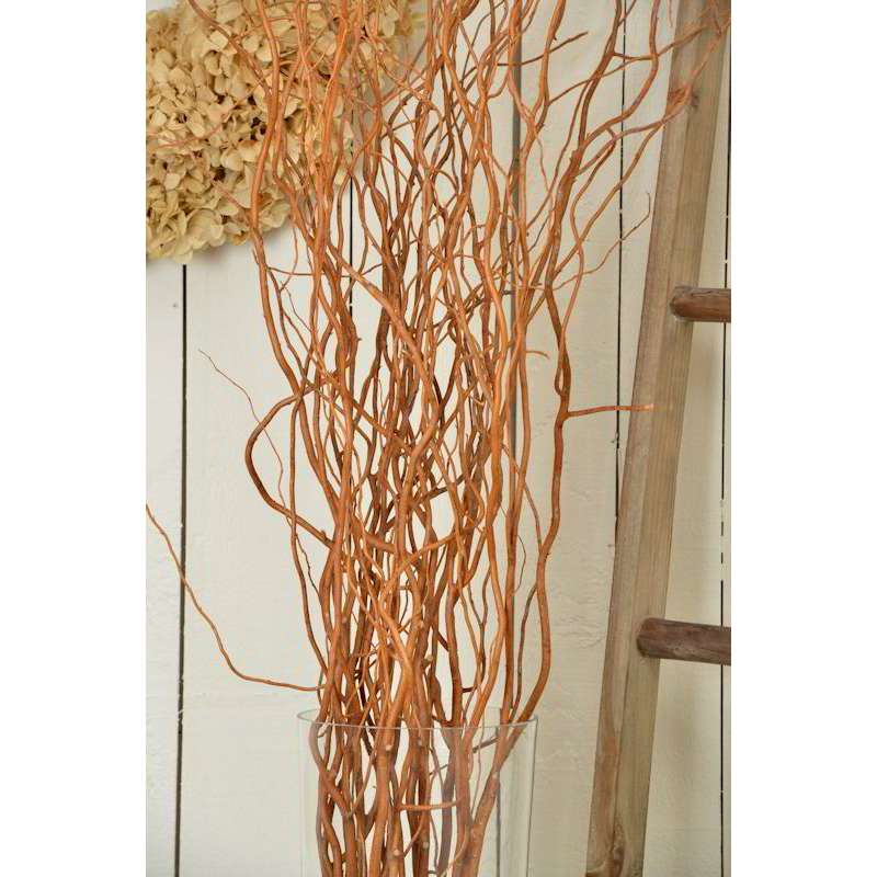 FeiLix 5PCS Artificial Curly Willow Branches Decorative Dry Twigs
