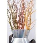 Curly Willow Branches for Arrangements (Long Stem)