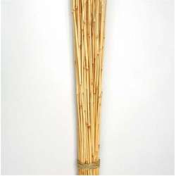 Dried Honey Bamboo Stack - 4ft Natural