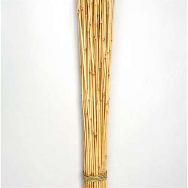 Dried Honey Bamboo Stack - 4ft Natural