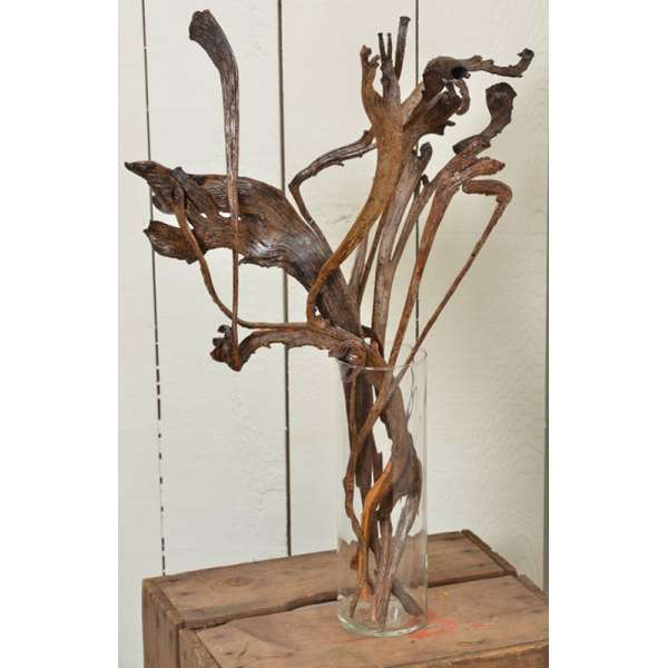 Dried Natraj Branches - Natrag Branches 