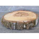 Elm Wood Slices - Large