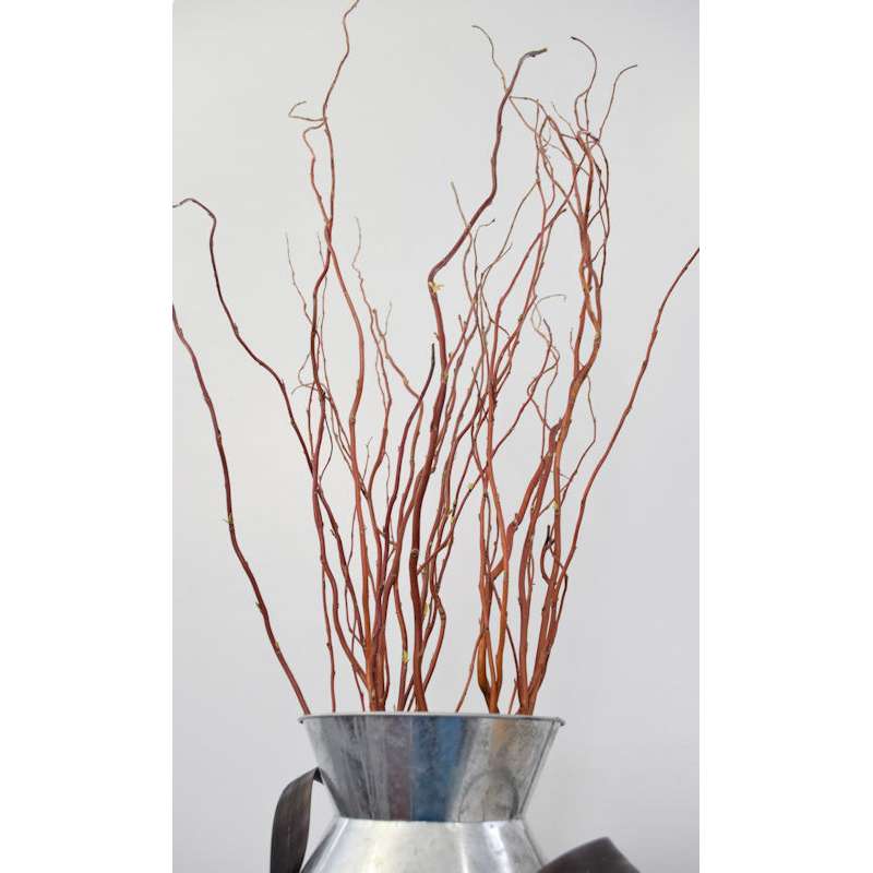 Uniquewise 47 in. Natural Decorative Dry Branches Authentic Willow
