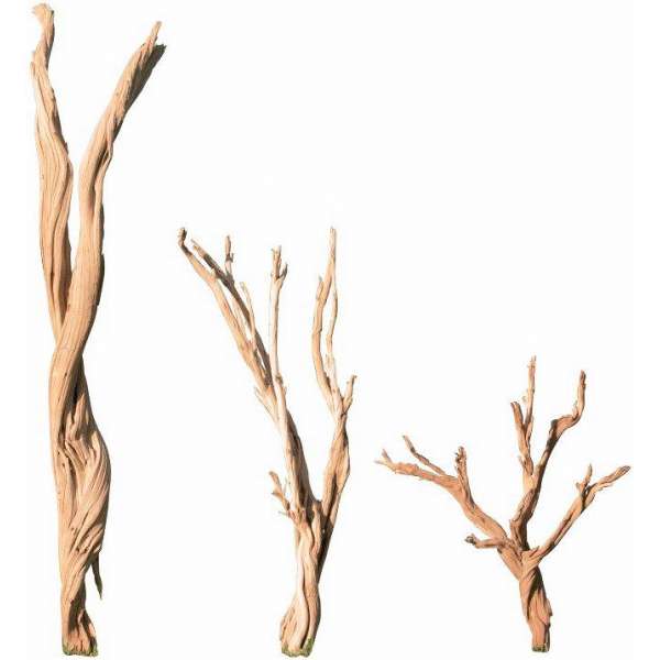 Ghostwood Branches - Sandblasted