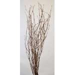 Gold Beaded Birch Branches