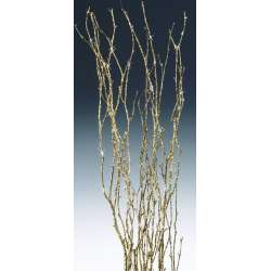 Decorative Birch Branches For Sale