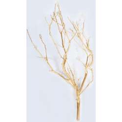 Dried Manzanita Branches - Painted Bulk Manzanita