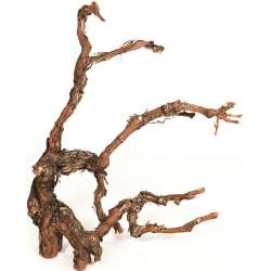 Grapewood Branches - Natural - Grape Wood