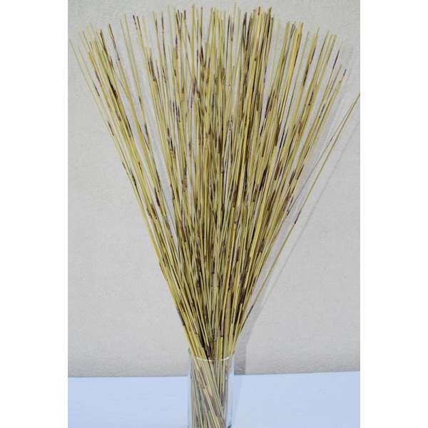 Green Pan Reed Bunch