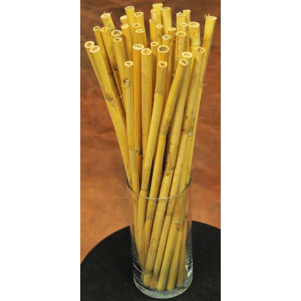 Short Dried Bamboo Stalks - Shoots