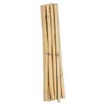 Short Dried Bamboo Stalks - Shoots