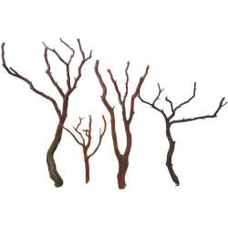 Natural Manzanita Bird Perches - Trees