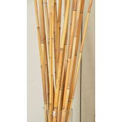 River Cane - RiverCane Bamboo