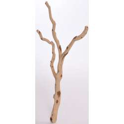 Sandbasted Manzanita Bird Perches - Trees