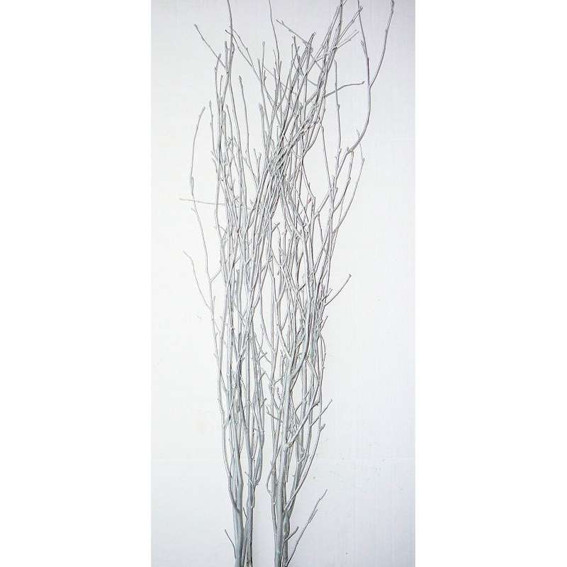 Decorative Birch Branches
