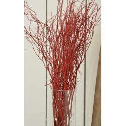 Sweet Huck Branches - Fire Red Huge 8oz Huckleberry bunch