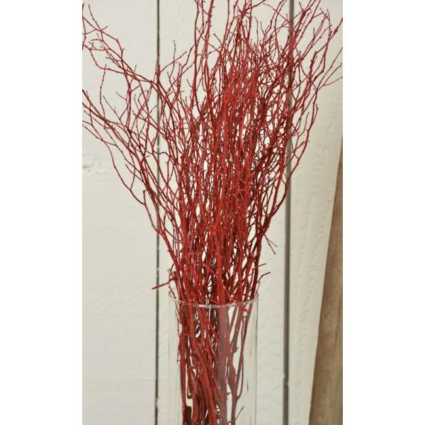 Sweet Huck Branches - Fire Red Huge 8oz Huckleberry bunch