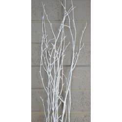 White Painted Birch Branches