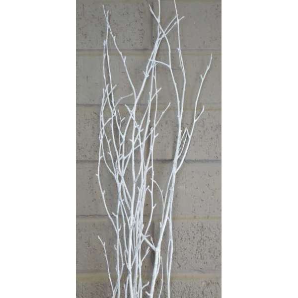 White Painted Birch Branches