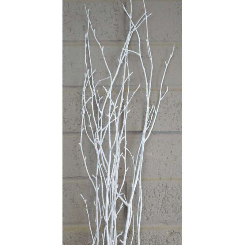 White Birch Branches, Bunches