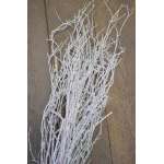 Sweet Huck Branches - White Sparkle bunch