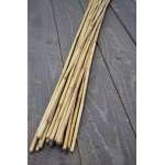 Wild Cane - Natural Bamboo