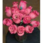 Dried Pink Corn Husk Roses - Closed Buds