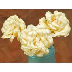 Dried Corn Husk Roses