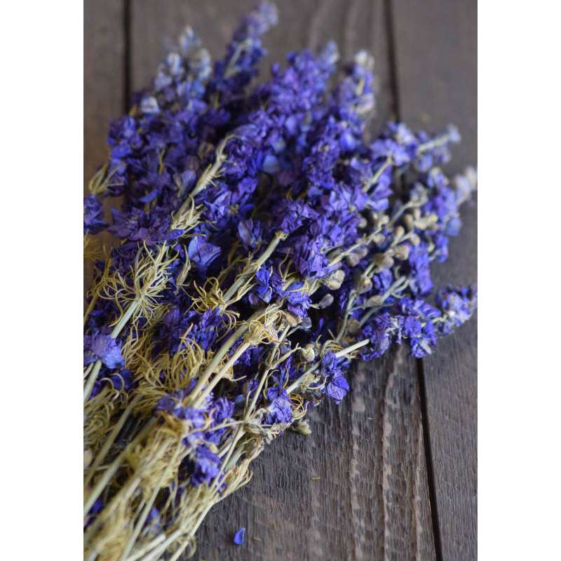 Dried Dark Blue Larkspur Flowers For Sale, Dried Delphinium